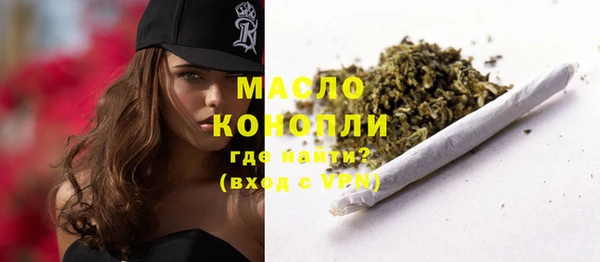 индика Семёнов