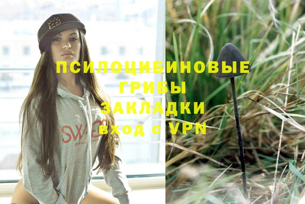 индика Семёнов